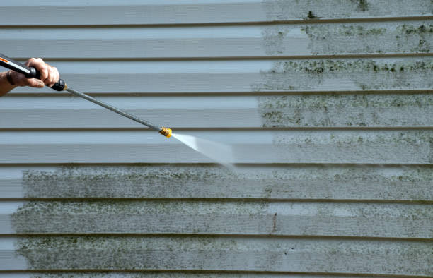 Best Roof Pressure Washing  in Ocean Shores, WA